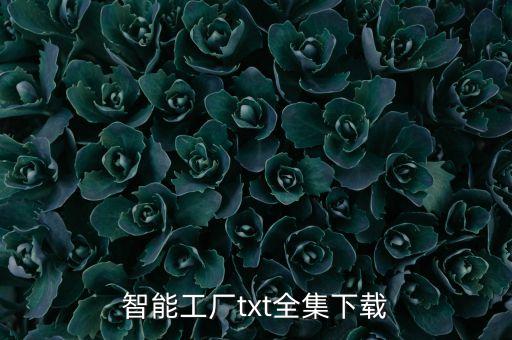 智能工廠txt全集下載