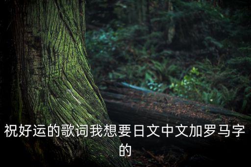 祝好運的歌詞我想要日文中文加羅馬字的