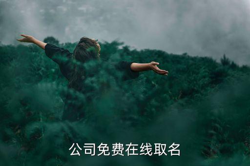公司免費(fèi)在線取名