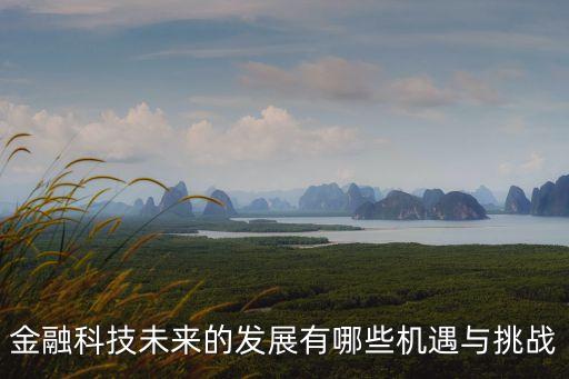 金融科技未來的發(fā)展有哪些機(jī)遇與挑戰(zhàn)