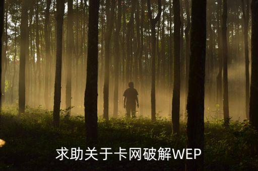 發(fā)卡網(wǎng)站破解，求助關于卡網(wǎng)破解WEP