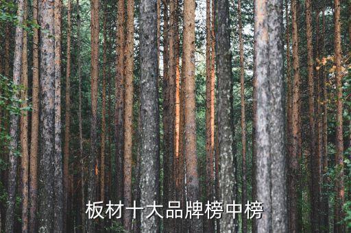 板材十大品牌榜中榜