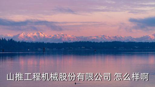 山推工程機械股份有限公司 怎么樣啊