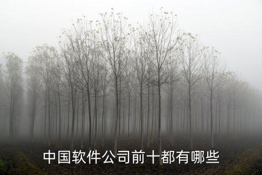中國(guó)最好的軟件公司排名，中國(guó)的軟件有能在世界排上名的嗎