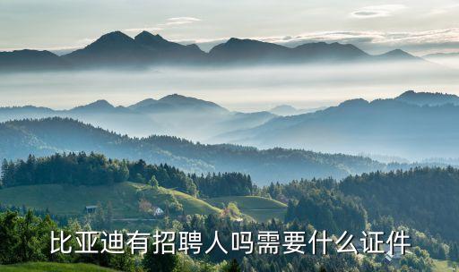 比亞迪有招聘人嗎需要什么證件