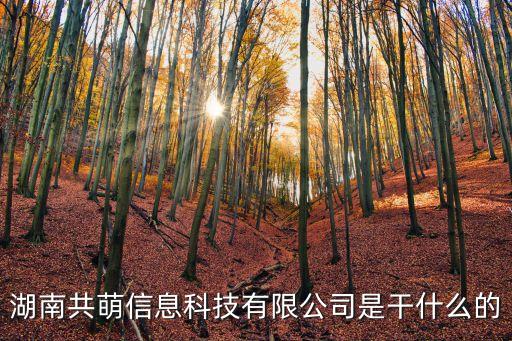 湖南共萌信息科技有限公司是干什么的