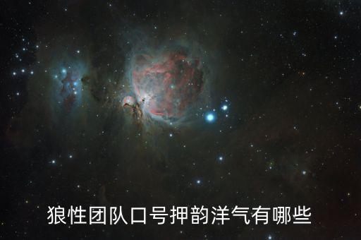 狼性團(tuán)隊(duì)口號(hào)押韻洋氣有哪些