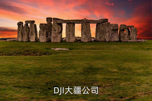 DJI大疆公司