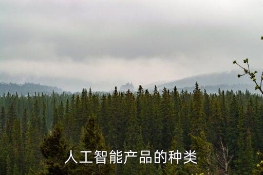 人工智能產(chǎn)品的種類