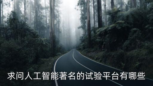 求問人工智能著名的試驗(yàn)平臺(tái)有哪些