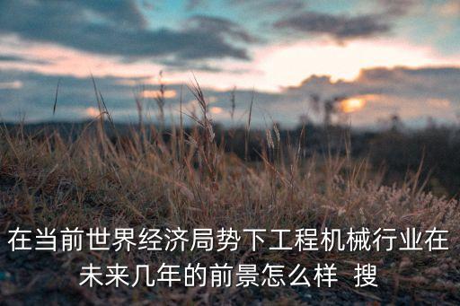 在當(dāng)前世界經(jīng)濟(jì)局勢下工程機(jī)械行業(yè)在未來幾年的前景怎么樣  搜