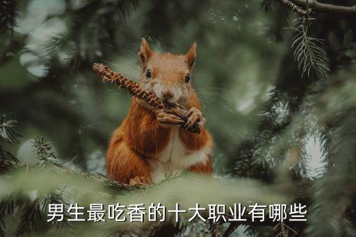 男生最吃香的十大職業(yè)有哪些