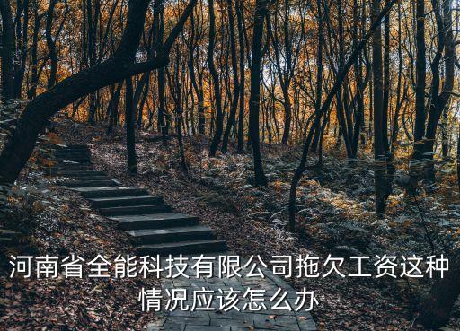 河南省全能科技有限公司拖欠工資這種情況應(yīng)該怎么辦