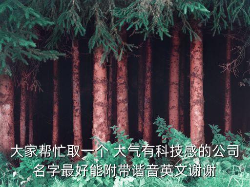 大家?guī)兔θ∫粋€ 大氣有科技感的公司名字最好能附帶諧音英文謝謝