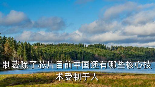 制裁除了芯片目前中國還有哪些核心技術(shù)受制于人