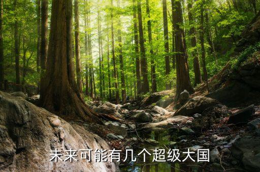 未來(lái)可能有幾個(gè)超級(jí)大國(guó)