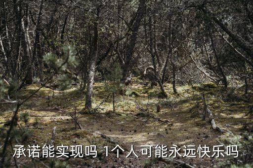 承諾能實現(xiàn)嗎 1個人可能永遠快樂嗎