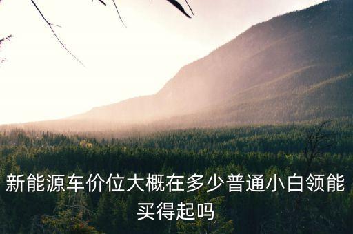 新能源車價(jià)位大概在多少普通小白領(lǐng)能買得起嗎