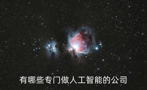 人工智能開發(fā)公司，哪家公司是做人工智能軟件開發(fā)的