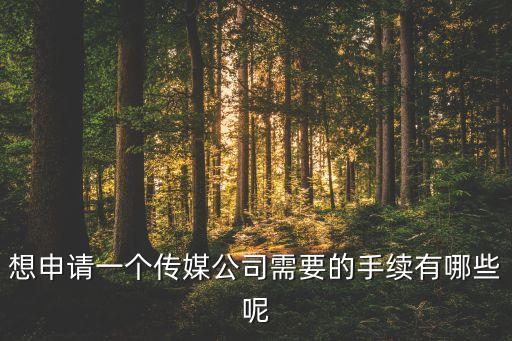 想申請一個傳媒公司需要的手續(xù)有哪些呢