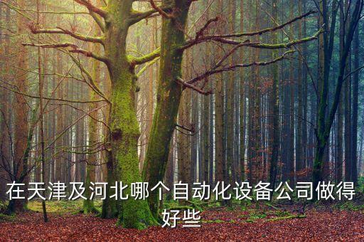 在天津及河北哪個自動化設(shè)備公司做得好些