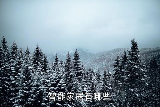智能家居有哪些