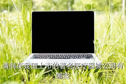 中國醫(yī)療器械10大龍頭企業(yè)，請問在我國上市的著名醫(yī)療器械公司有哪些