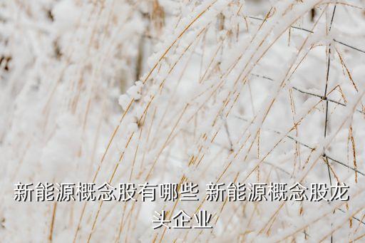 新能源概念股有哪些 新能源概念股龍頭企業(yè)