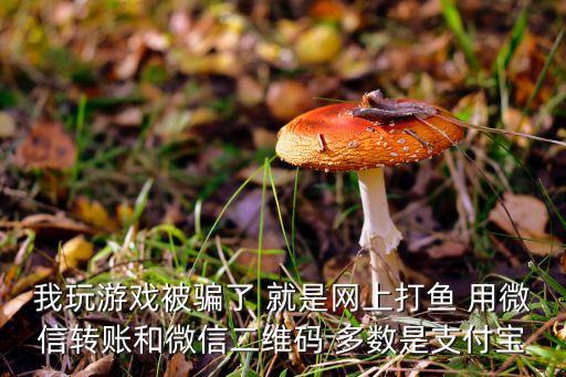 捕魚微信秒到賬，捕魚來了微信能充值嗎