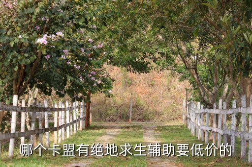 哪個(gè)卡盟有絕地求生輔助要低價(jià)的