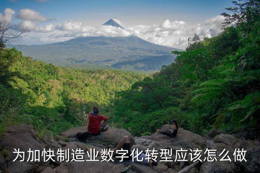 為加快制造業(yè)數(shù)字化轉(zhuǎn)型應(yīng)該怎么做