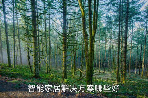 智能家居解決方案哪些好