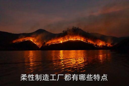 柔性制造系統(tǒng)的特點(diǎn)，柔性制造工廠都有哪些特點(diǎn)
