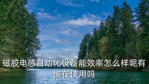 磁膠電感自動化設(shè)備能效率怎么樣呢有誰在使用嗎