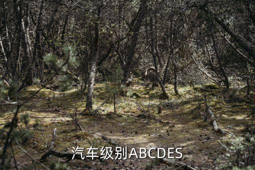 自動駕駛汽車等級，汽車級別ABCDES