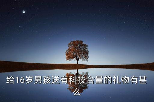 智能科技類禮物男孩子，給16歲男孩送有科技含量的禮物有甚么