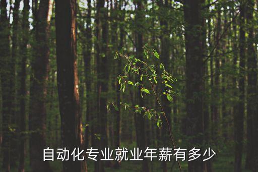 自動化專業(yè)就業(yè)年薪有多少