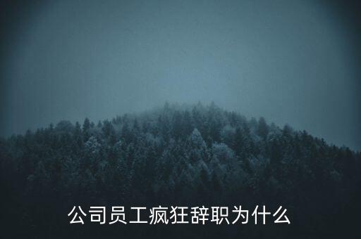 公司員工瘋狂辭職為什么
