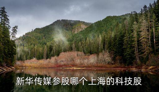 科創(chuàng)板人工智能第一股，新華傳媒參股哪個上海的科技股