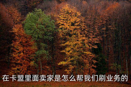 在卡盟里面賣(mài)家是怎么幫我們刷業(yè)務(wù)的