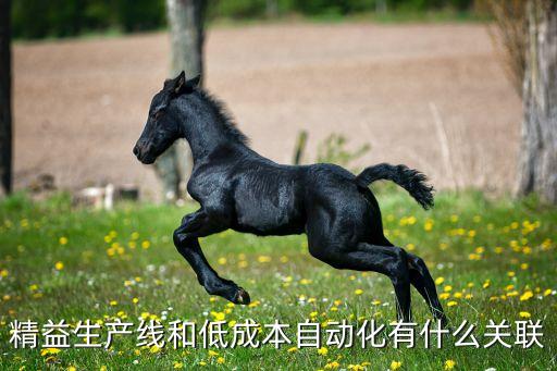 低成本自動化料架，國內(nèi)低成本自動化廠家有哪些