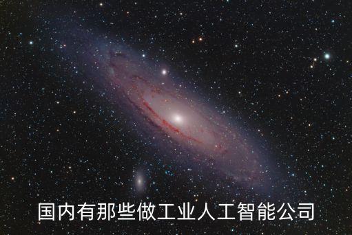 國內(nèi)有那些做工業(yè)人工智能公司