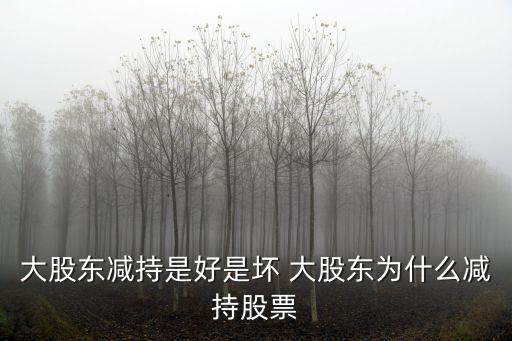 至純科技股東為什么減持，最近公司大股東大量減持的原因是什么