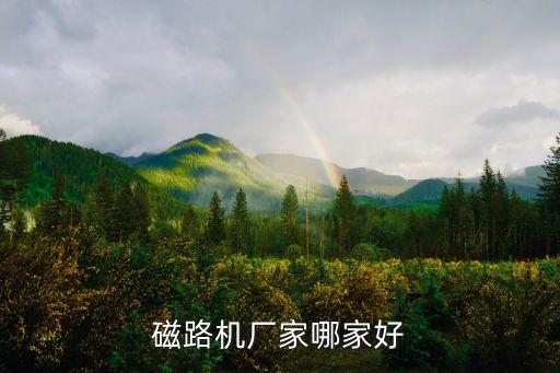 磁路機(jī)廠家哪家好