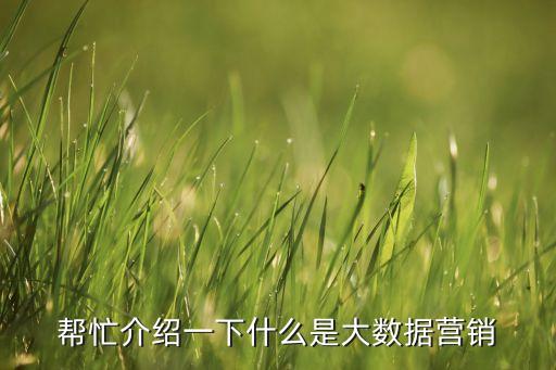幫忙介紹一下什么是大數(shù)據(jù)營(yíng)銷