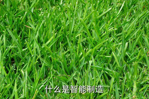 什么是智能制造