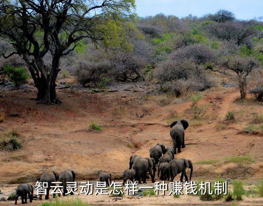 靈動(dòng)科技怎么賺錢，通過靈猴怎么賺錢的