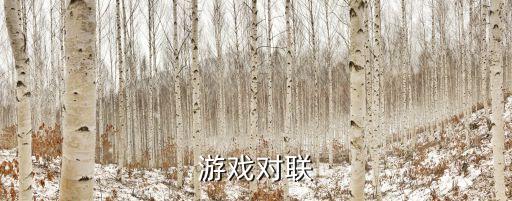 游戲?qū)β?lián)
