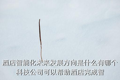 酒店智能化未來發(fā)展方向是什么有哪個(gè)科技公司可以幫助酒店完成智