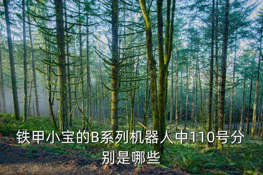 鐵甲小寶的B系列機器人中110號分別是哪些